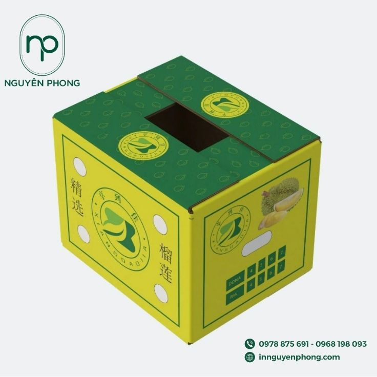 In thùng carton đựng sầu riêng tại TP.HCM in đẹp